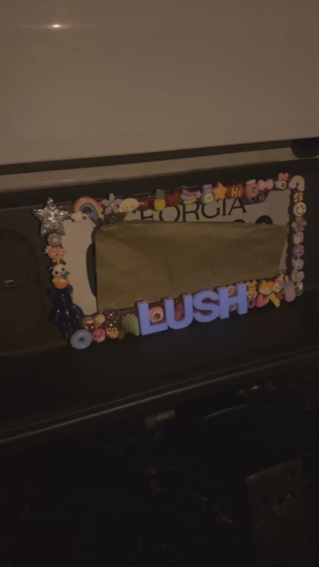 JunkLicious license plates