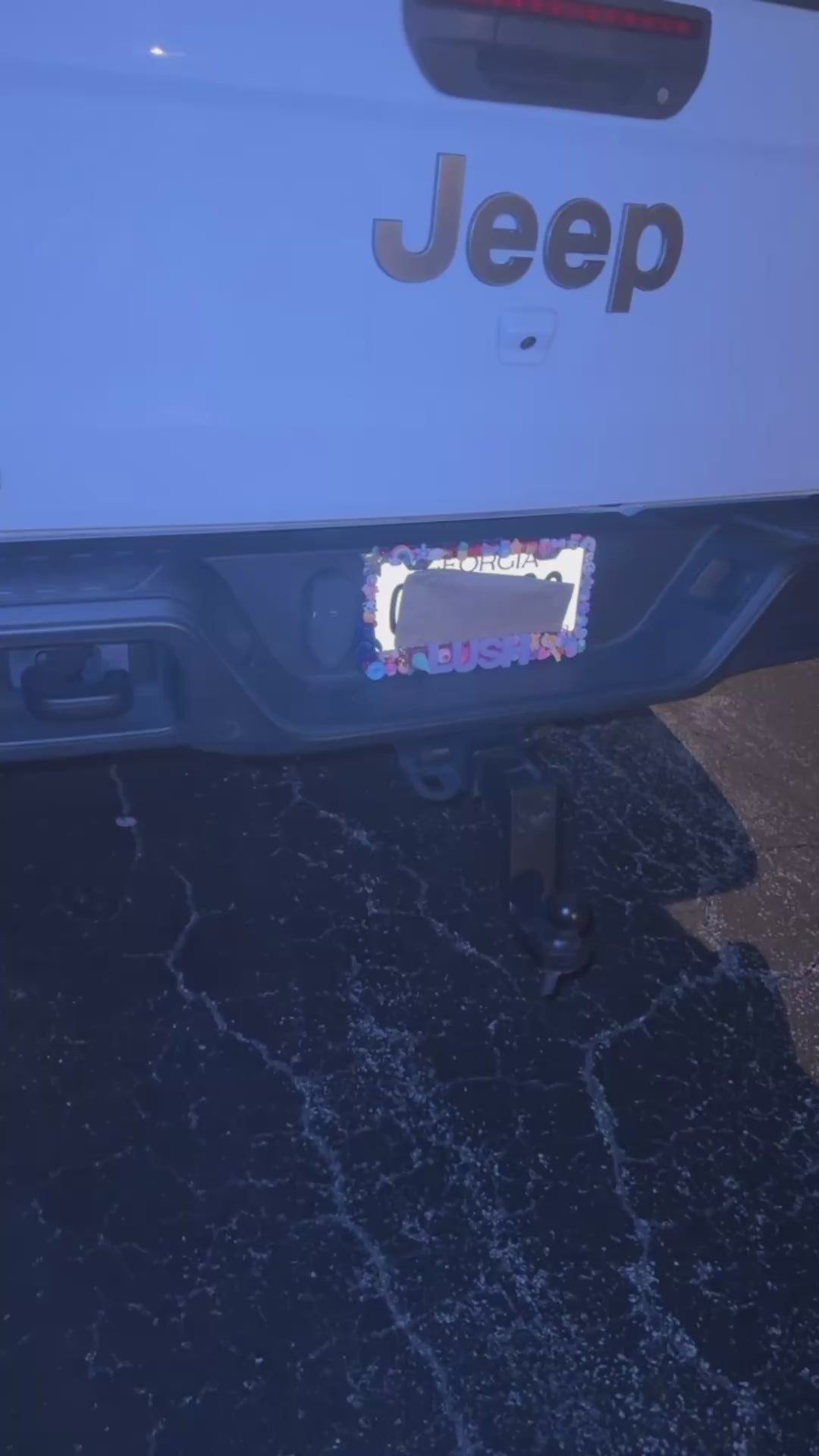 JunkLicious license plates
